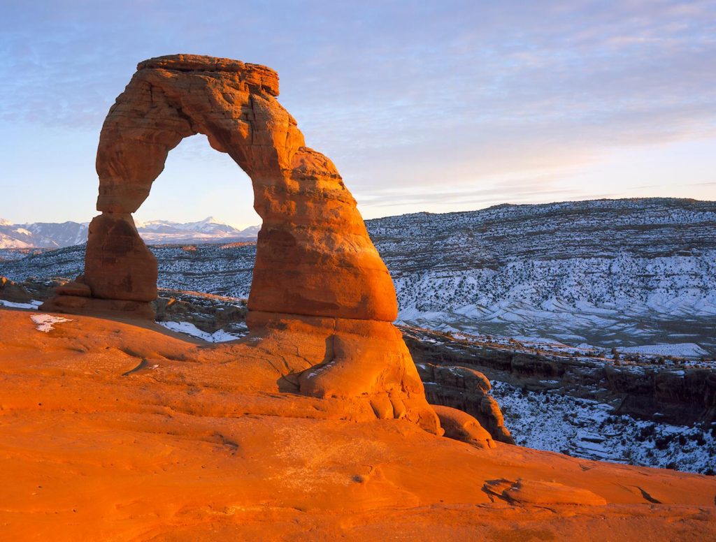 Delicatearch1